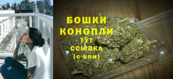 ГАЛЛЮЦИНОГЕННЫЕ ГРИБЫ Балахна