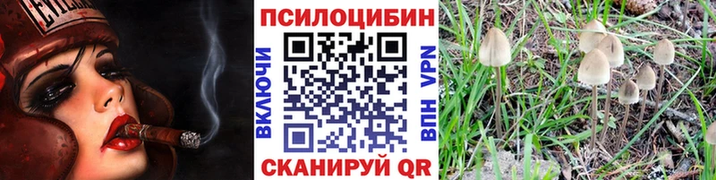 Псилоцибиновые грибы мицелий  где купить наркоту  Прохладный 